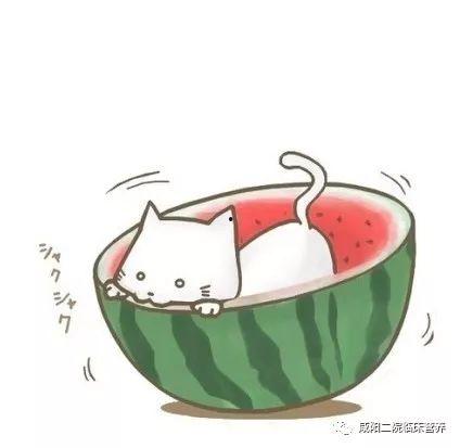 娱乐吃瓜头像图片图文,吃瓜群众眼中的明星幕后故事